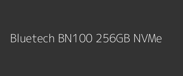 Bluetech BN100 256GB NVMe
